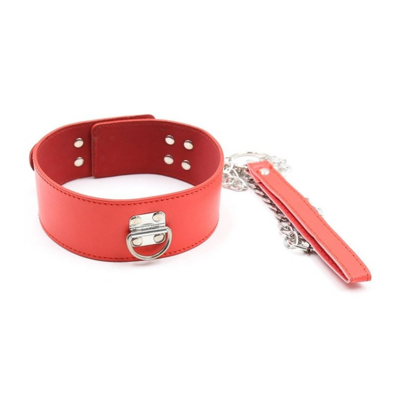 Generique Collier et Laisse Pin Lock Rouge